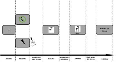 Electrophysiological evidence for the effects of pain on the different stages of reward evaluation under a purchasing situation